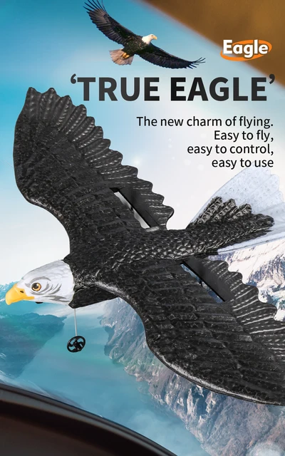 Z59 Bionic Eagle RC Glider 2.4G 2CH Fixed Wing Remote