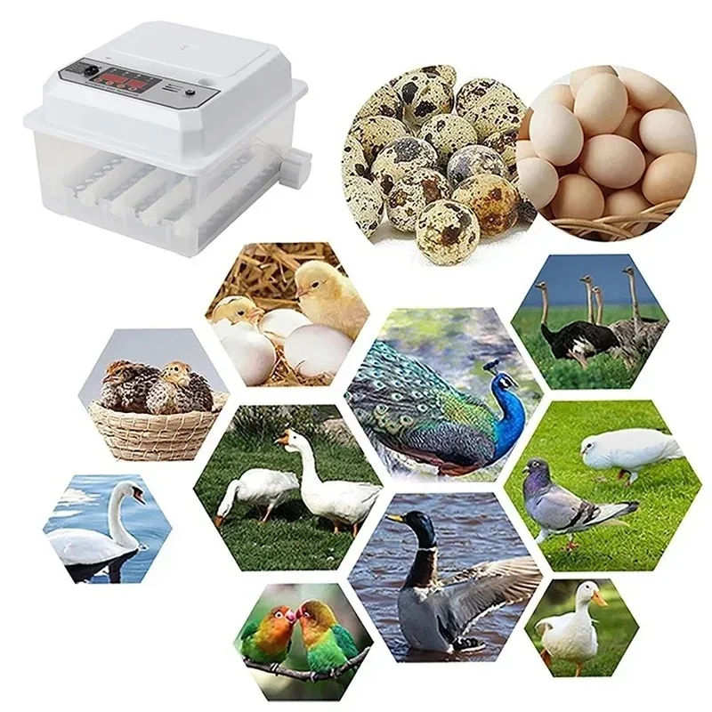 16 Egg Automatic Mini Incubator Dual Power Poultry Hatcher with Auto-Turning for Chickens Ducks Geese and Birds for Home Use