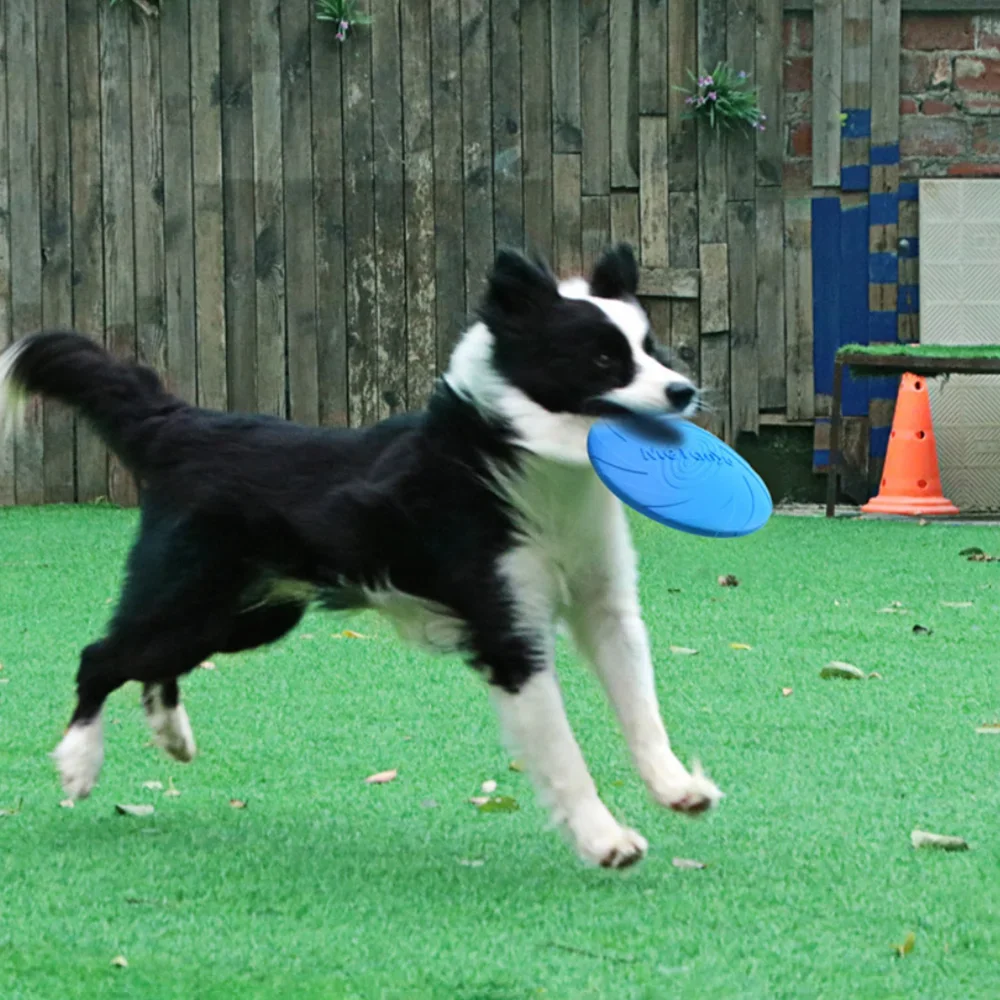 Dog Frisbeed Toys Multicolor Pet Dog Outdoor Game Flying Discs Trainning Interactive Toy Bite Resistant Flying Disc Pet Supplies 3