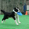 Dog Frisbeed Toys Multicolor Pet Dog Outdoor Game Flying Discs Trainning Interactive Toy Bite Resistant Flying Disc Pet Supplies 3
