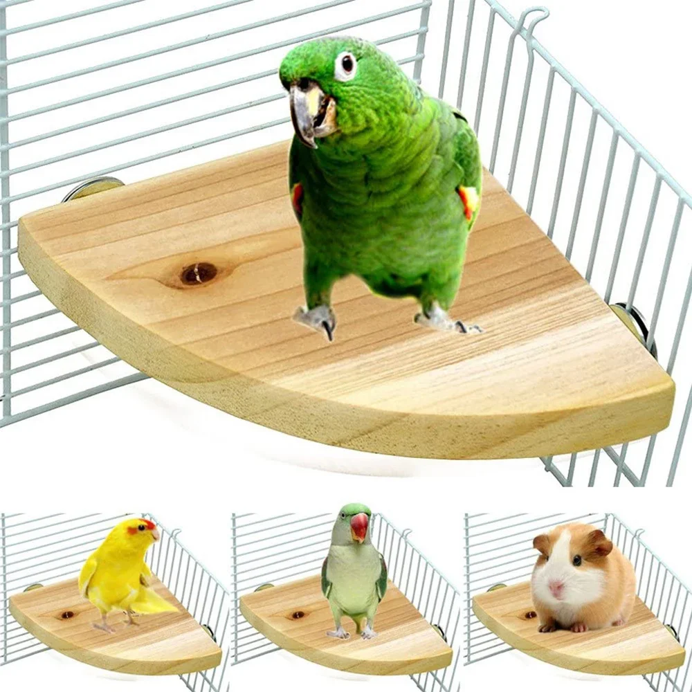 Squirrel Rack Fan-shaped Parrot Wooden Stand Rack Bird Cage Accessories Perch for ...