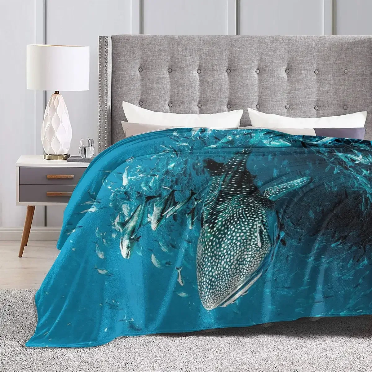 �ö��� ���ο� ���, ���� ��� �� ���� ���� ���, �ε巯�� ħ�� ������ ���� ���, ħ�� ��ũ�� ���� Ȩ ����