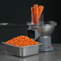 110V/220V Electric Dicing Machine Vegetable Fruit Carrot Potato Dicing Machine Multi-functional Slicer Electric Vegetable Cutter 2