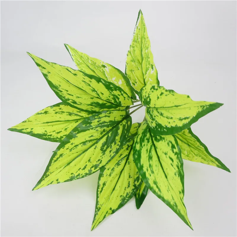 Michelia champaca