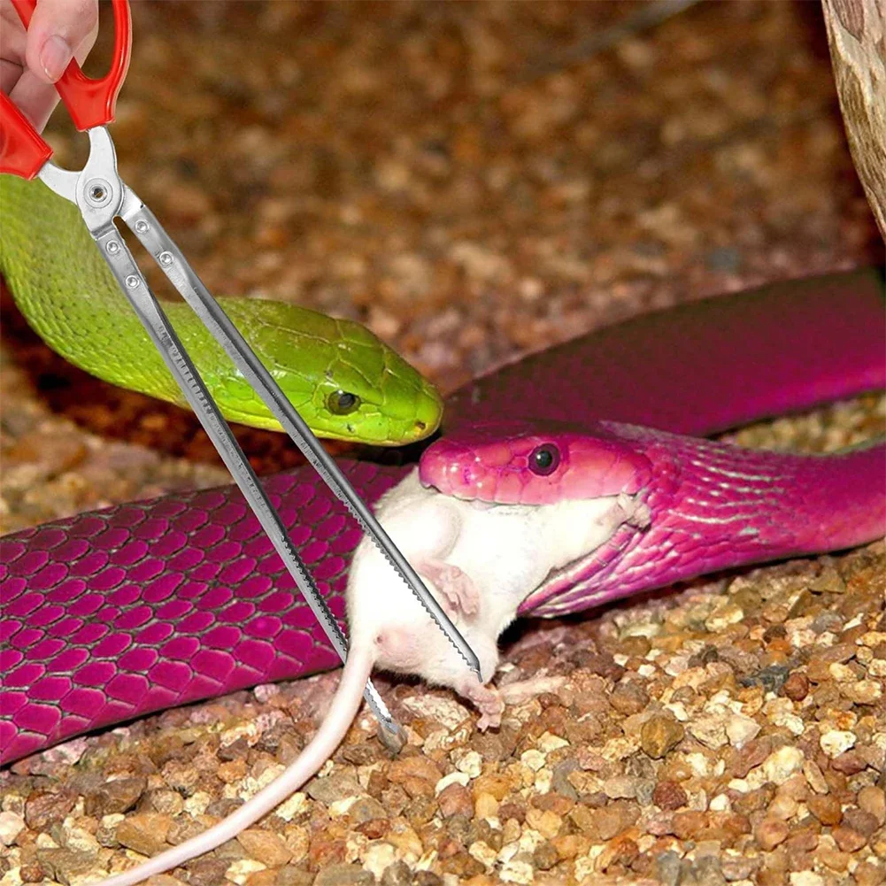 Snake/Reptile Feeding Tongs 3