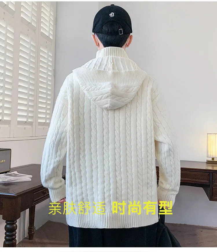 Hohe Qualität männer Warme Mit Kapuze Pullover Herbst Winter Casual Dicke Fleece Gestrickte Pullover Jugend Streetwear Tops Hoody Kleidung – Detail 2