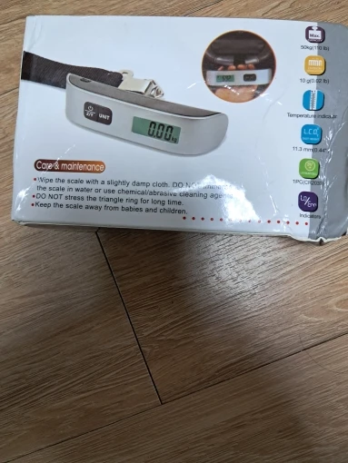 Silver Portable Luggage Scale