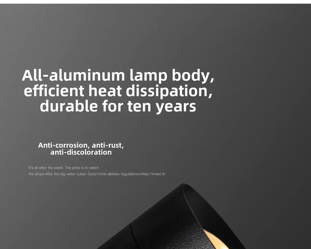 Adjustable Spotlight Image 14