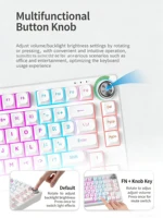 Mechanical Keyboard Hot Swapsoft Gasket Structure Optional Backlit Luminous Keycap Esports Game Keyboard Office Birthday Gift - Image 5