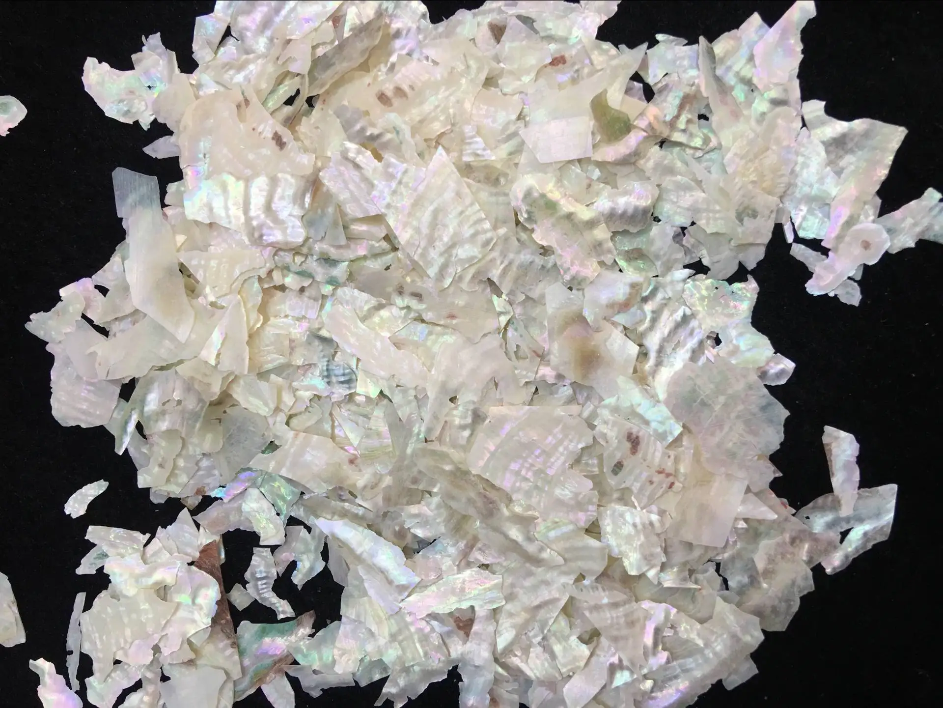 50g/100g 보해만 전복 얇은 껍질 조각 - 천연 DIY 네일 아트 장식, 바다풍 매니큐어용 무지개빛 자개