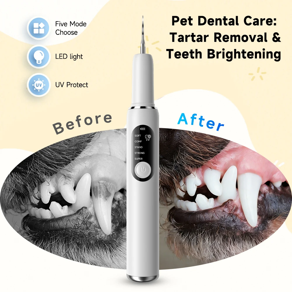 5-Mode Ultrasonic Pet Dental Scaler for Dogs & Cats