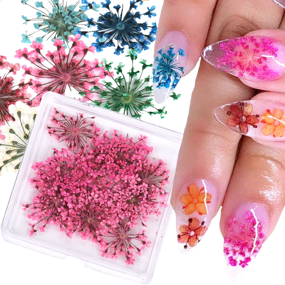 

3D Natural Dried Flowers Nail Art Decoration Mixed Plants Flower DIY Colorful Manicure Accesories Nail Charms Supplies Jewelry
