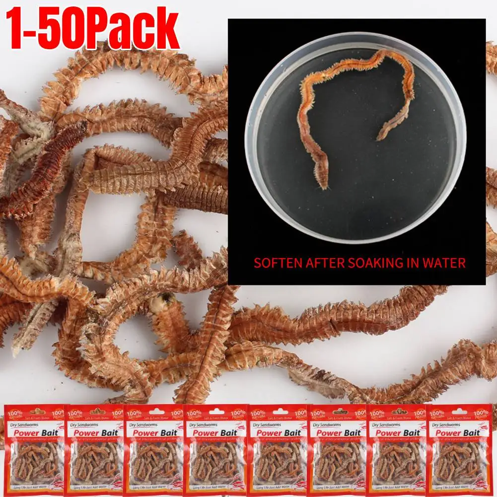 https://ae01.alicdn.com/kf/S8cce1adb58cb44379c96e321dae63ad7t/1-50Pack-Lifelike-Dry-Lugworm-Sandworms-Artificial-Sea-Worms-Soft-Fishing-Lures-Soft-Artificial-Bait-Lifelike.jpg
