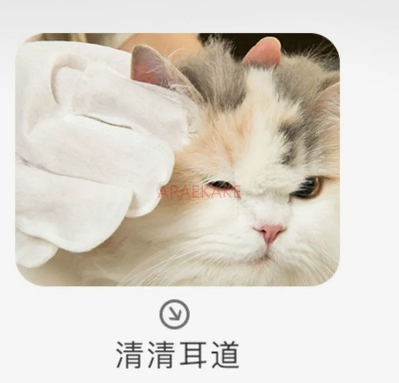 Pet wash free gloves, cat wet wipes, cleaning dogs, dry cleaning special for cats, disposable bathing