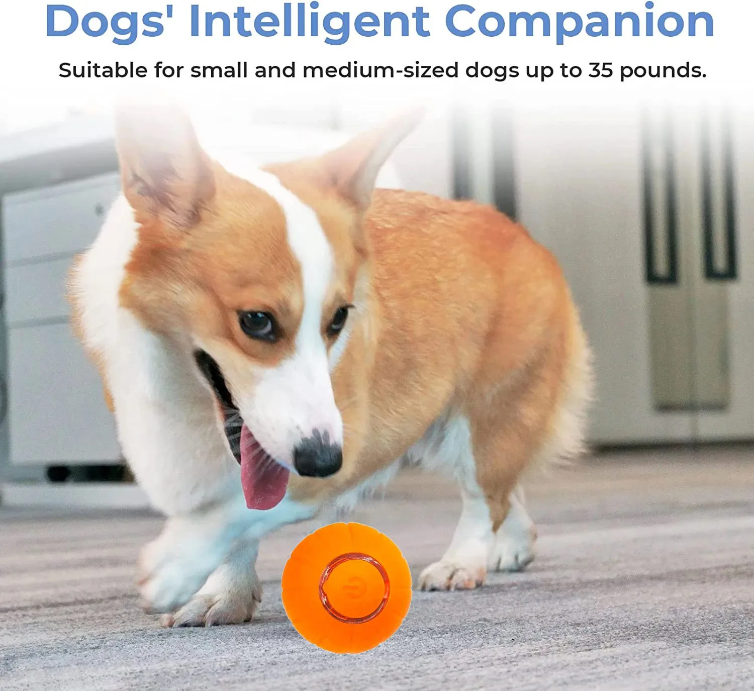 Dropship Rolling Ball For Dogs; Pet Dog Mental Stimulation Toys  Made Of  Natural Rubber; Active Rolling Ball For Dog Puppies And Cats; Happy;  Intelligent Interactive Dog Toy to Sell Online at