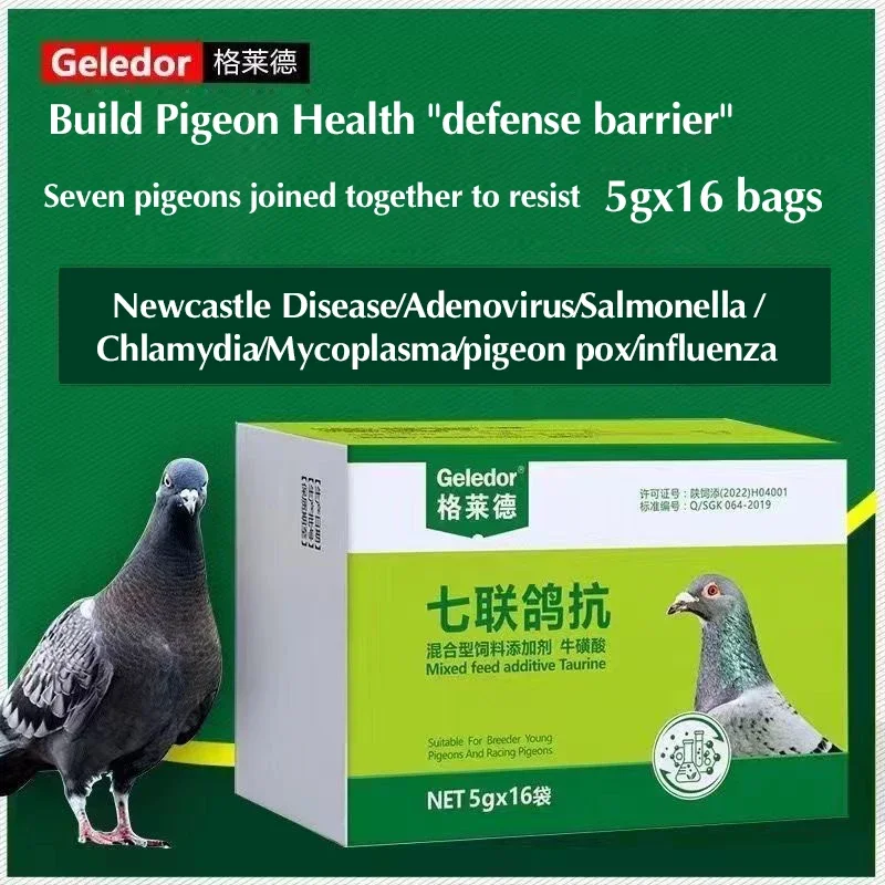 Pigeon Disease Treatment Seven pigeons against Salmonella Newcastle disease stubborn water green then throw food vomit racing pigeon pigeon special