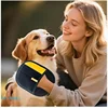 S8cd644afd3c84c00bff98191bfcfdf60n.jpg Upgrated Pet Hair Remover Glove Double-Sided Fur Gloves Cat Dog Fur Magnet Gloves For Washing Deshedding Cleaning Carpets Sofas