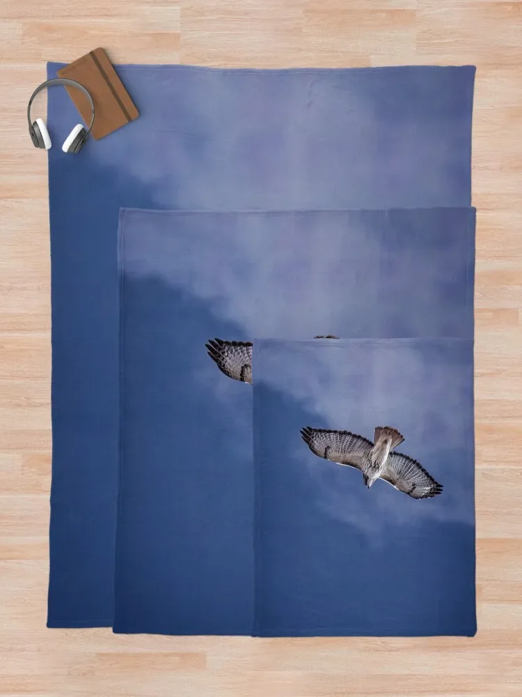 ���� ���� ȣũ �޻�� ���� ���ο� ���, ���� ���� ���� �̺�, ���Ÿ� ���