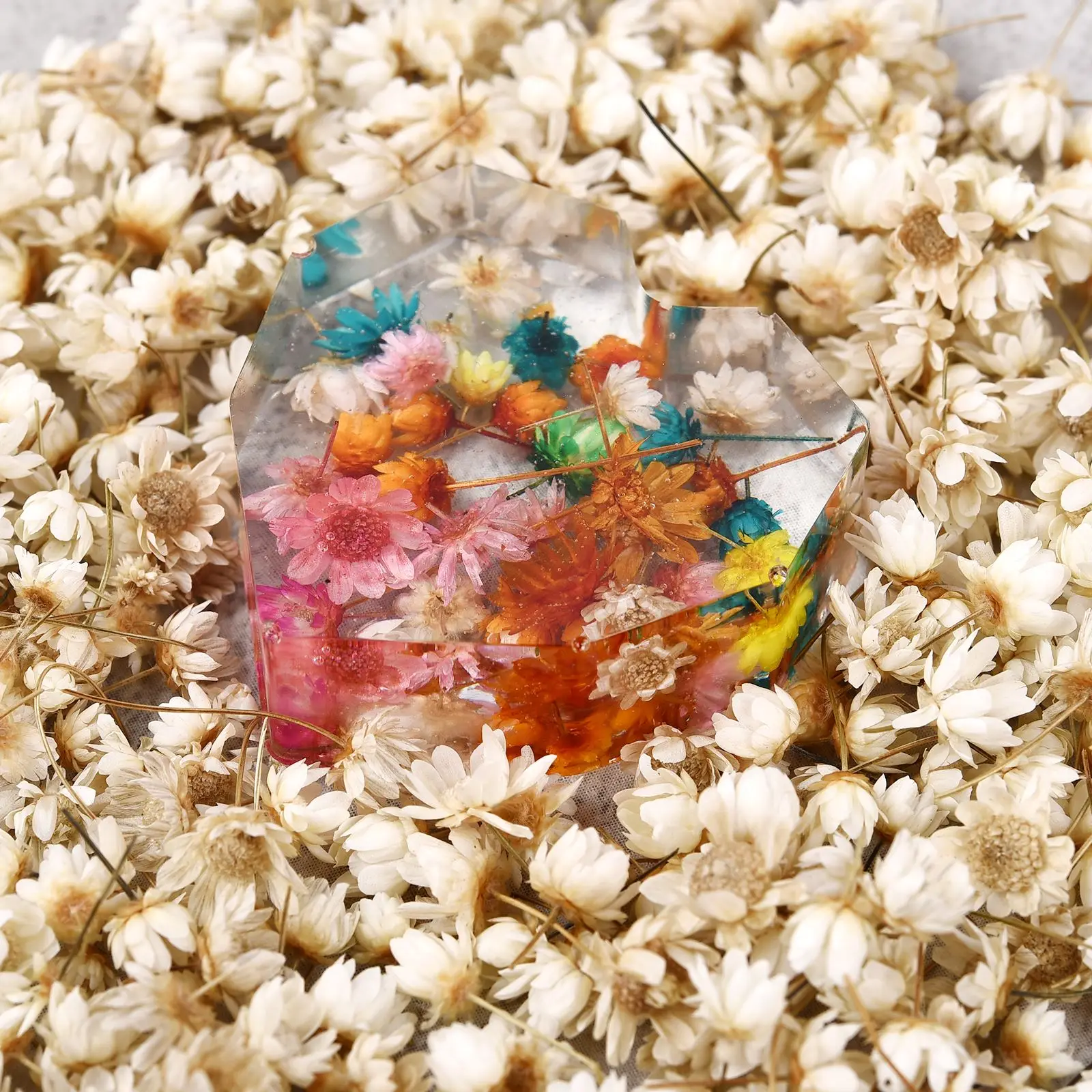 Real Dried Pressed Flowers Dry Plants Fruits for Aromatherapy Candle UV  Epoxy Resin Mold Fillings Nail Jewelry Craft DIY Making - AliExpress