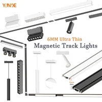 6MM Magnetic Led Track Light Magnet Spot Ceiling Lighting Rail Surface Lamp System Black White 110V 220V to 48V for Home Room 1