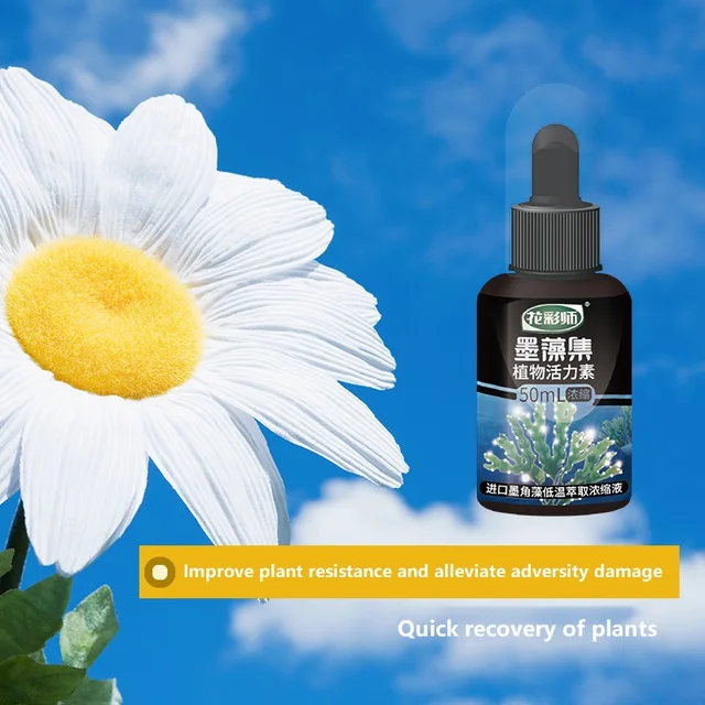 50Ml Tinta Algák Fitodinamika Enyhíti Az Elhízás Elősegítése A Gyökerek Erős Palánták Koncentrált Szerves Talaj Aktivátor Koncentrátum - Image 2