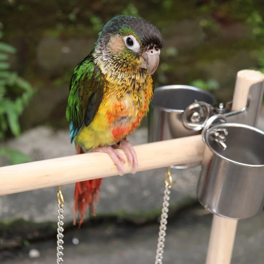 Bird Playground PerchFeeding CupSwingClimbing LadderParrot Play FrameExerciseLong-tailed Parakeet Cockatoo