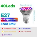 E27 Red Blue 30W