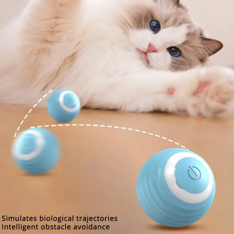 Cat Toys Interactive Cat Toy Ball Roll Pet Things Stuff Products Offer Supplies Games Kitten Accessories Katzen Gadgets Goods Articles
