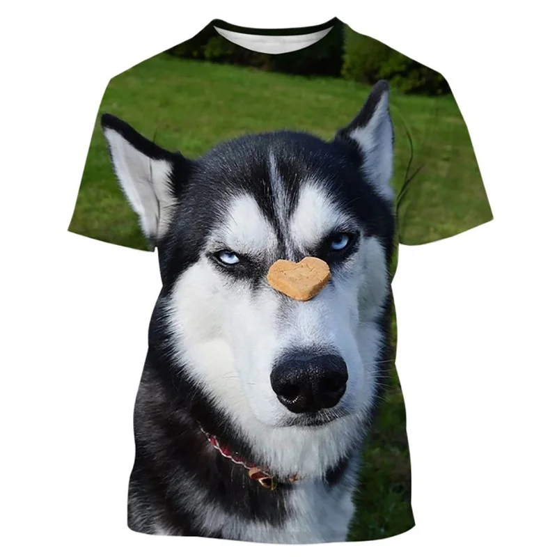 

Pets Dog Lovely Animal Men's Street Tee Summer Male 3d Printed Siberian Husky Short Sleeve For Man Children Tops T Shirt Clothes