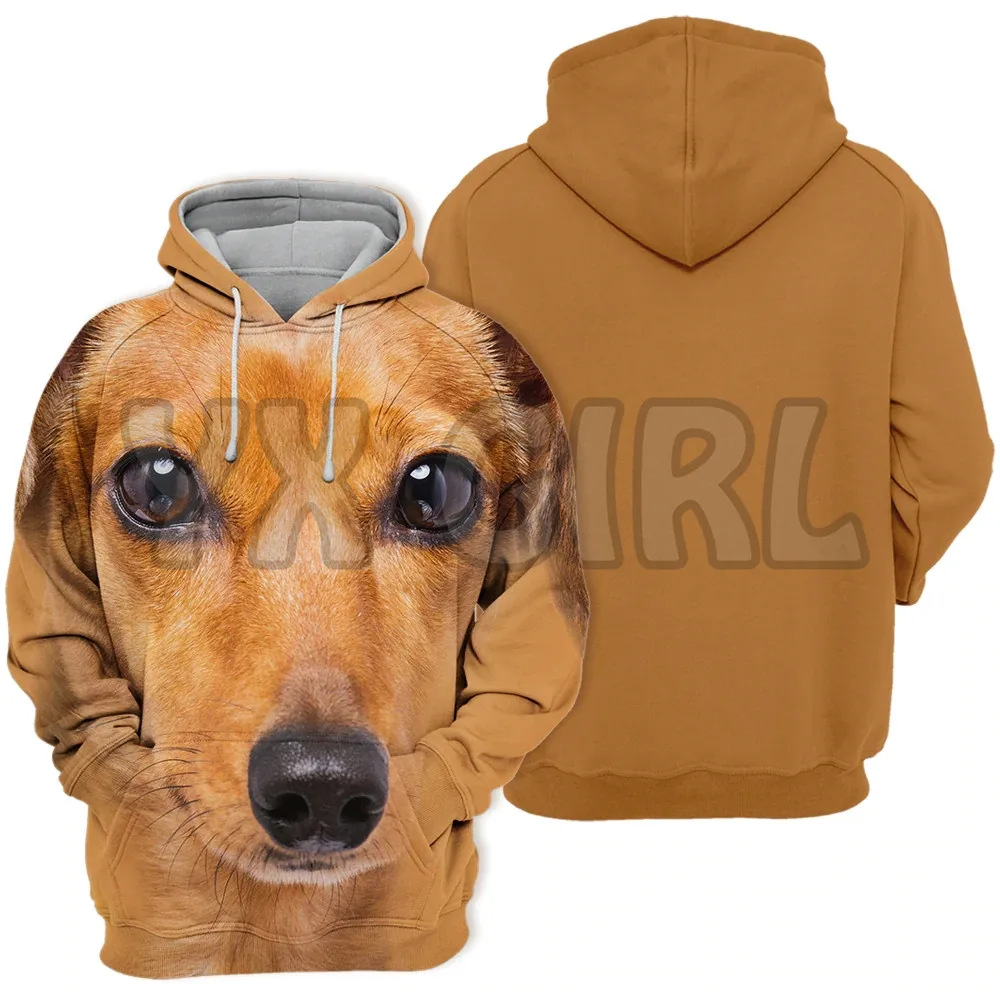 AnimalsDogsDachshundSausageDog3DPrintedHoodiesUnisexPullovers