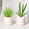 Ceramic creative succulent circle flowerpot simple desktop decoration 5