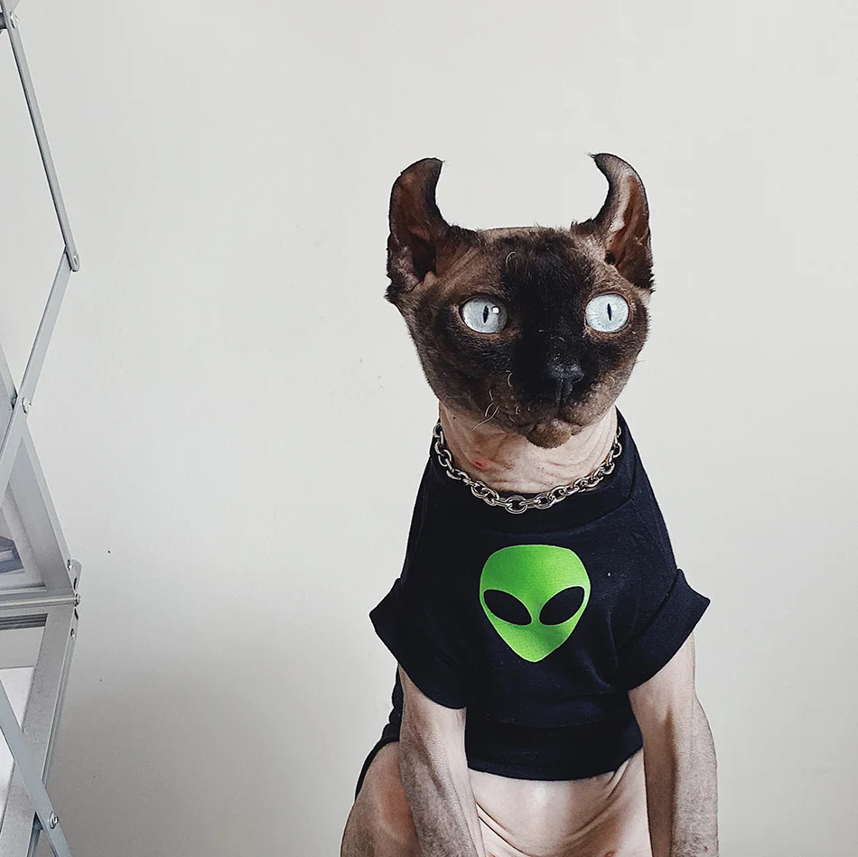 Alien Sphynx ubrania wiosna lato T Shirt bezwłosy ubrania dla kota bawełniana kamizelka dla sfinksa kot Ourfits wiosna letnie ubranie dla psa kostium