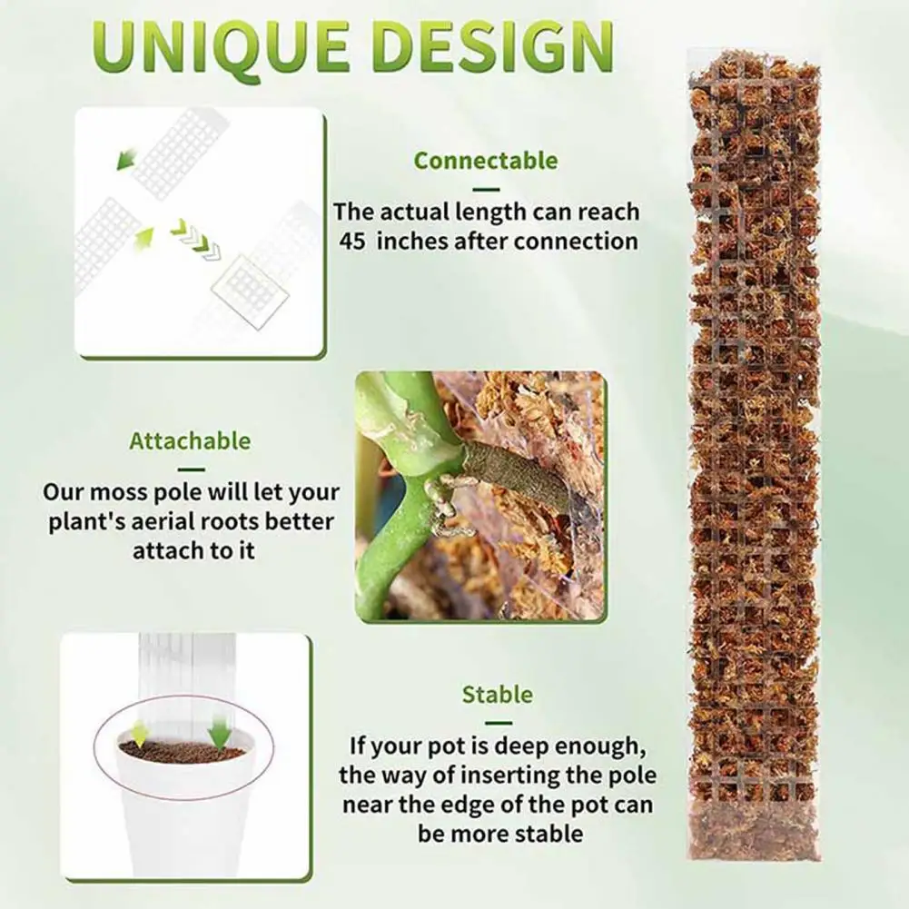 

Plants Poles Reusable Moss Poles Transparent Plants Growth Convenient Climbing Indoor Plants Moss Poles
