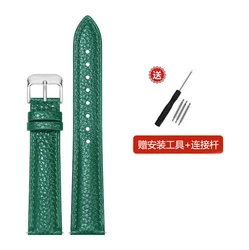 Luxurious Genuine Leather Watch Strap Accessory with Tool - 20mm (Green silver)