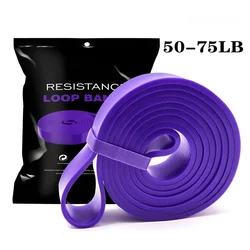 Ultimate Resistance Band Set for Strength Training and Home Workouts (Purple 50 - 75LB)