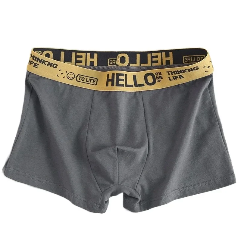 5Pcs Mens Underwear Male Boxers Sexy Underpants Comfortable Breathable Fashion Boys Panties Underwear Boxershorts Men 5
