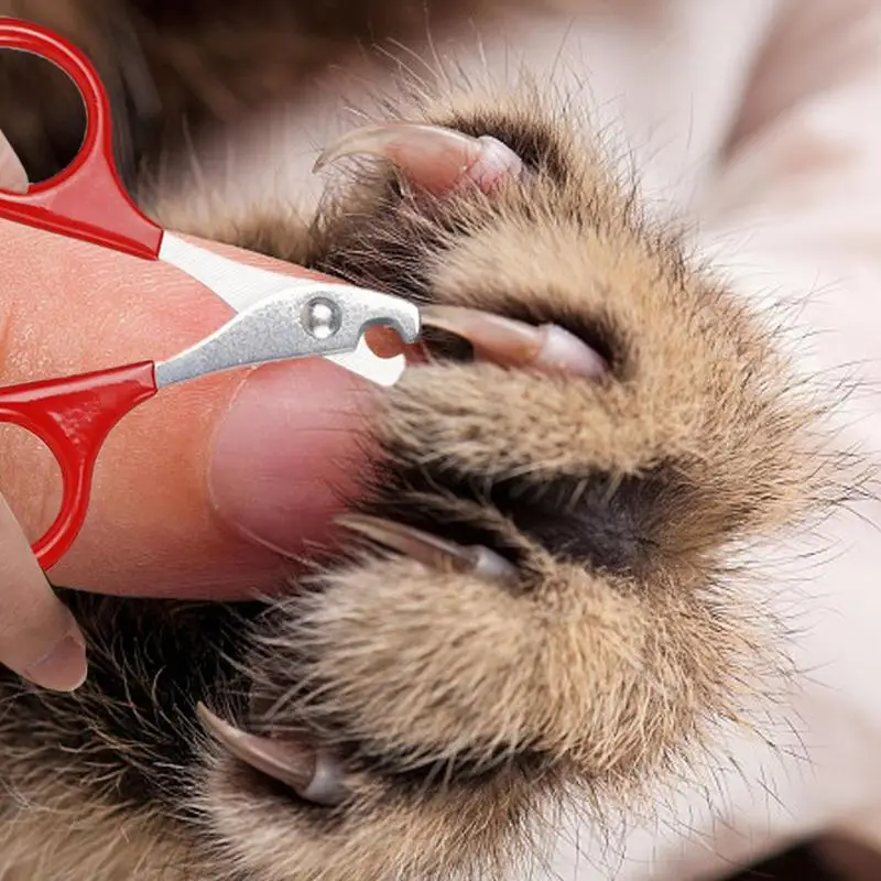 Cat Nail Scissors Pet Dog Nail Clippers Toe Claw Trimmer Professional Pet Grooming Products for Small Puppy Dogs Cat pet nail clipper,pet nail scissors