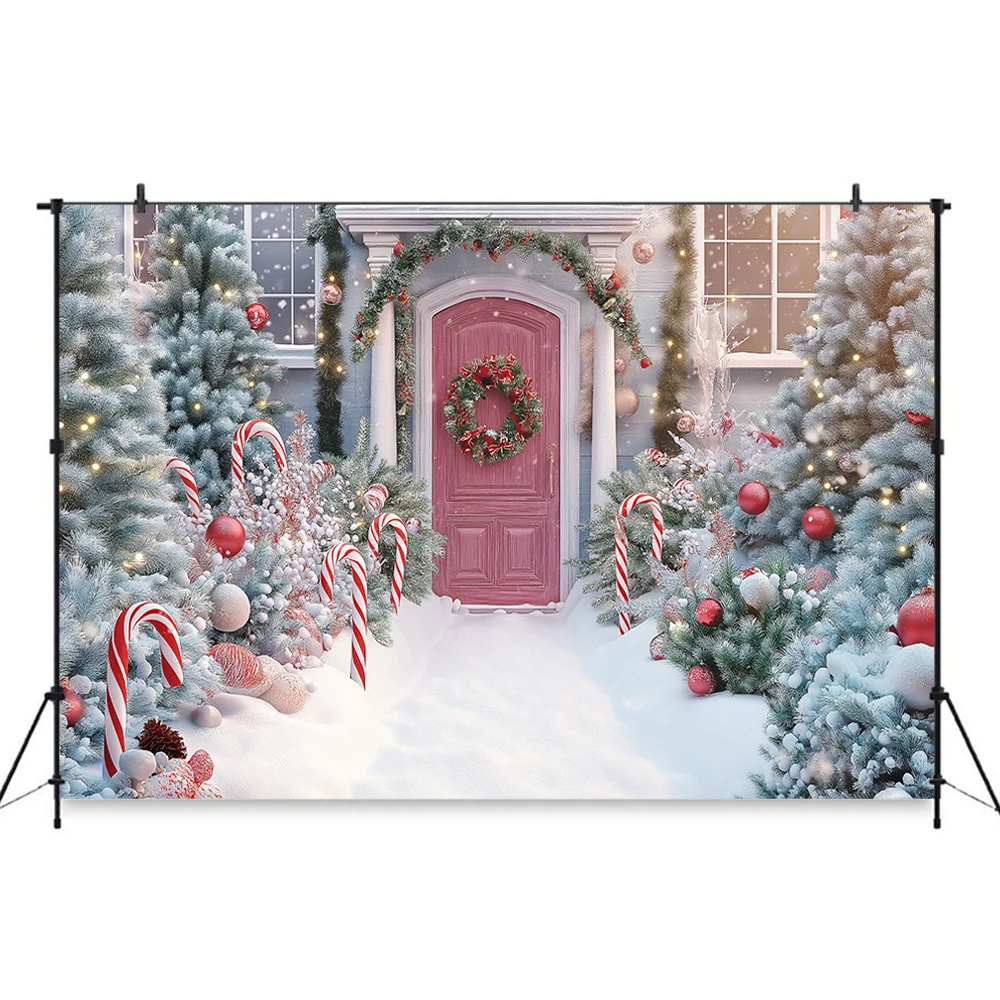 Toiles De Fond D'Hiver: Flocons De Neige & Paysage De Noël - Kate