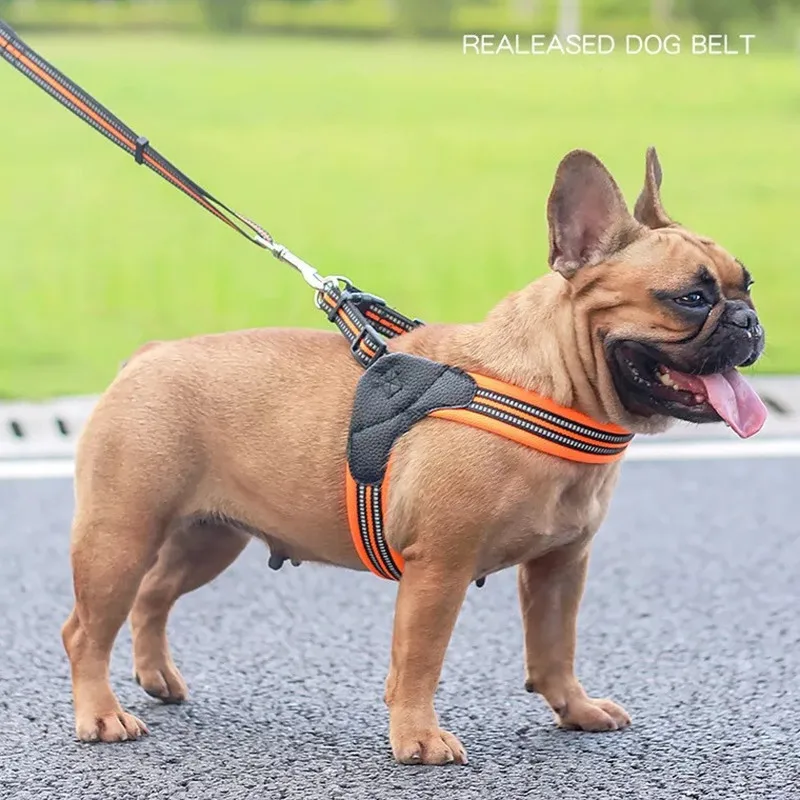 Dog Harness With Leash Set, No Pull Adjustable Reflective Step-in Puppy - Foto 10