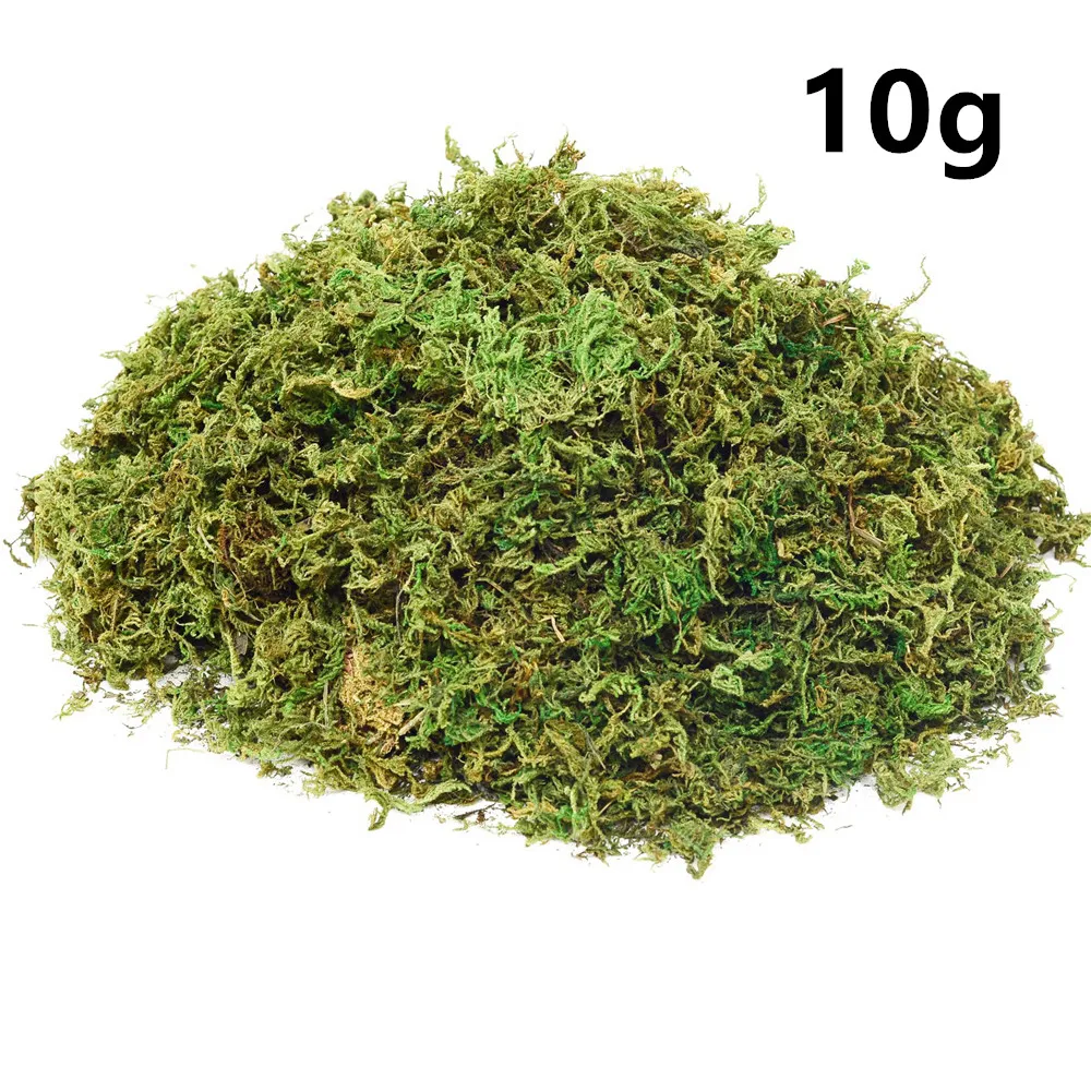 10g/20g Moss for Potted Plants Artificial Moss for Fake Plants Faux Moss  for Planters Decorative Moss for Craft and Home Decor - AliExpress