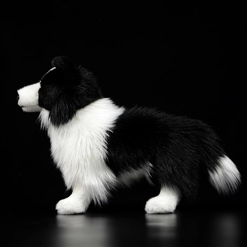 S8cf132bf694342b4bb70b05934abe3ffU - Border Collie Gifts