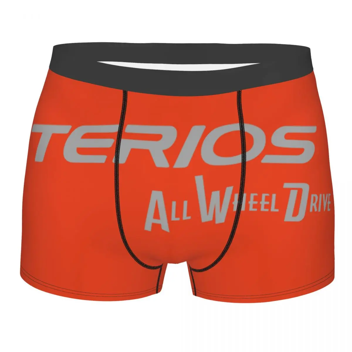 

Custom Terios Underwear Men Stretch Boxer Briefs Shorts Panties Soft Underpants For Male