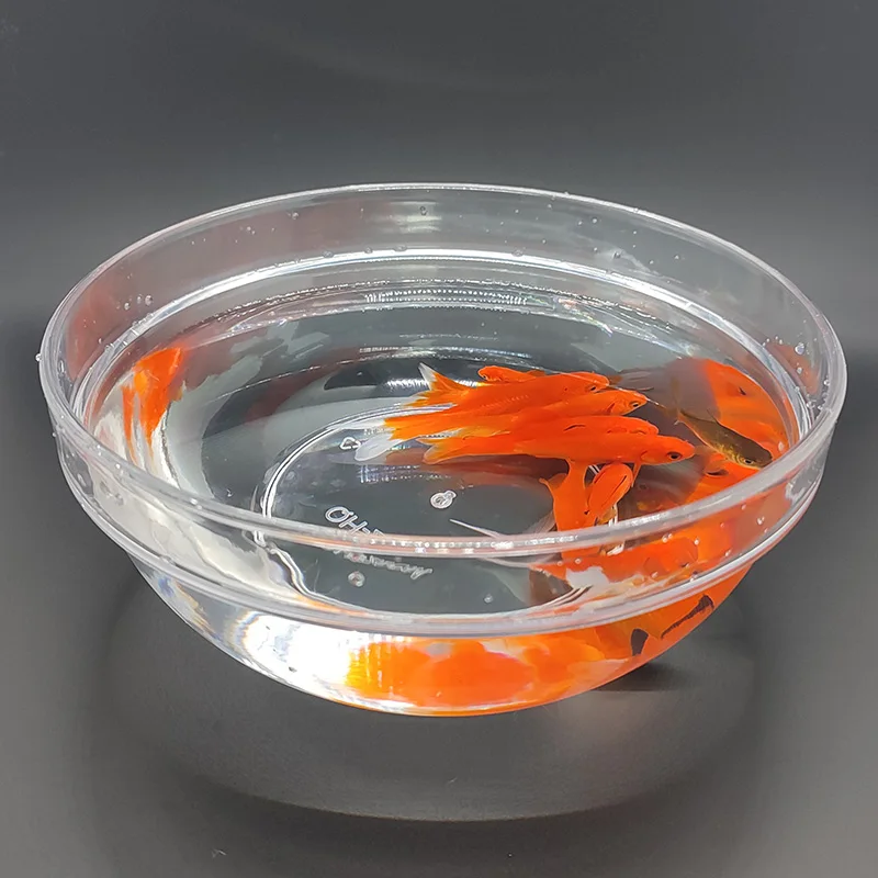 appearing-fish-tank-magic-tricks-magician-stage-close-up-illusions-gimmicks-mentalism-props-fish-appear-in-plastic-bowl-magia