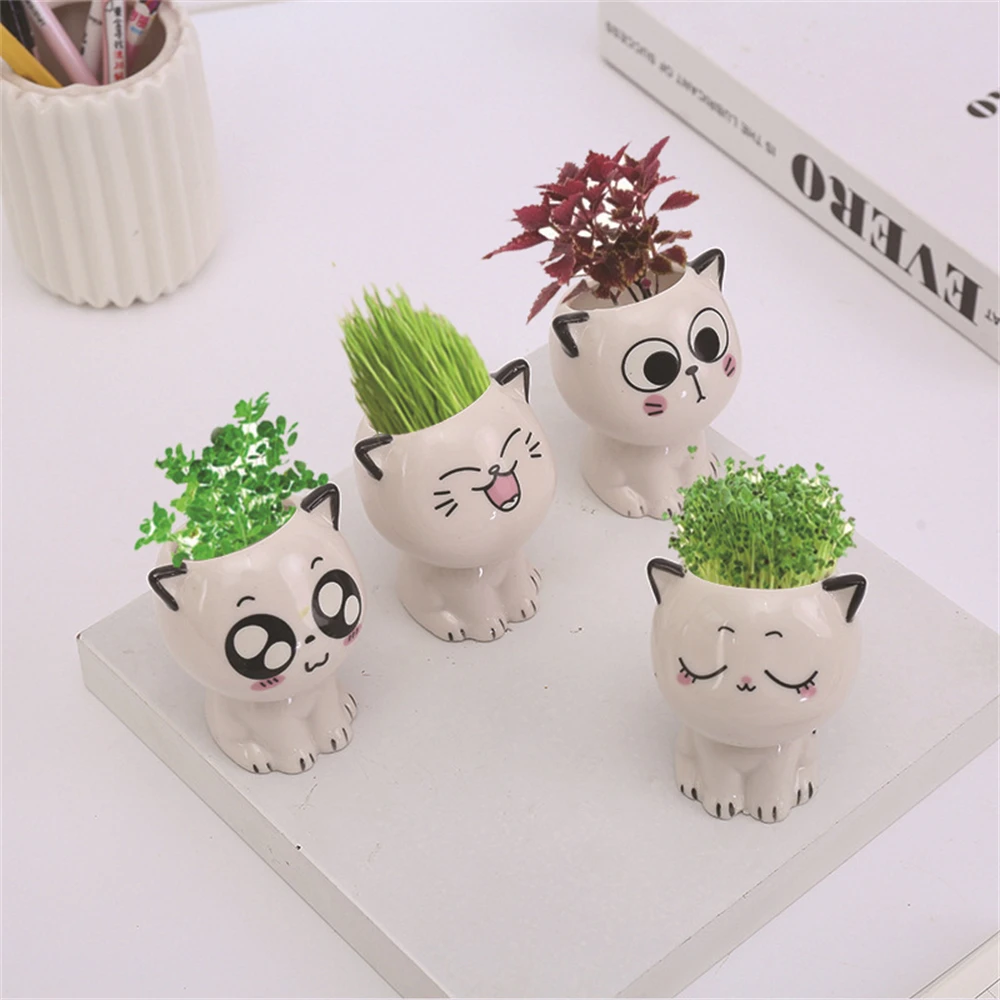 

Manual Cultivation Mini Bonsai Various Styles Germinate In About A Week Toy For Children Cartoon Ceramic Vase Home Decoration