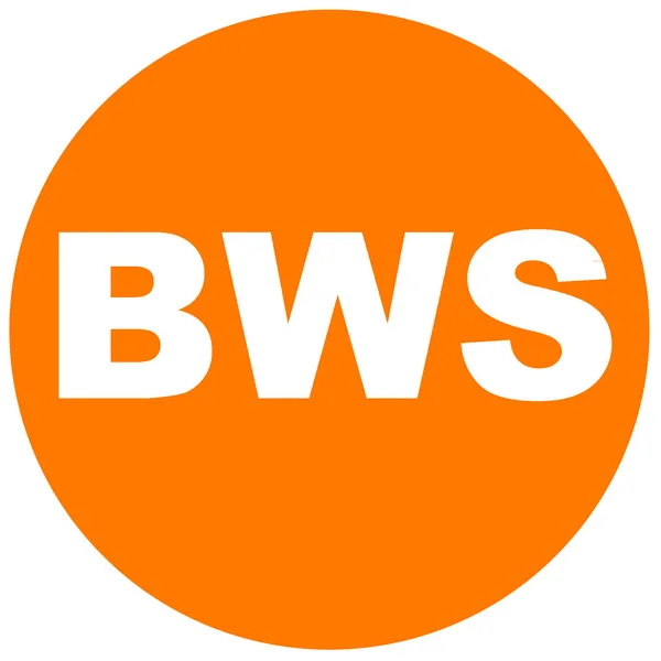 BWS MPPT WIND SOLAR HYBRID CONTROLLER Store