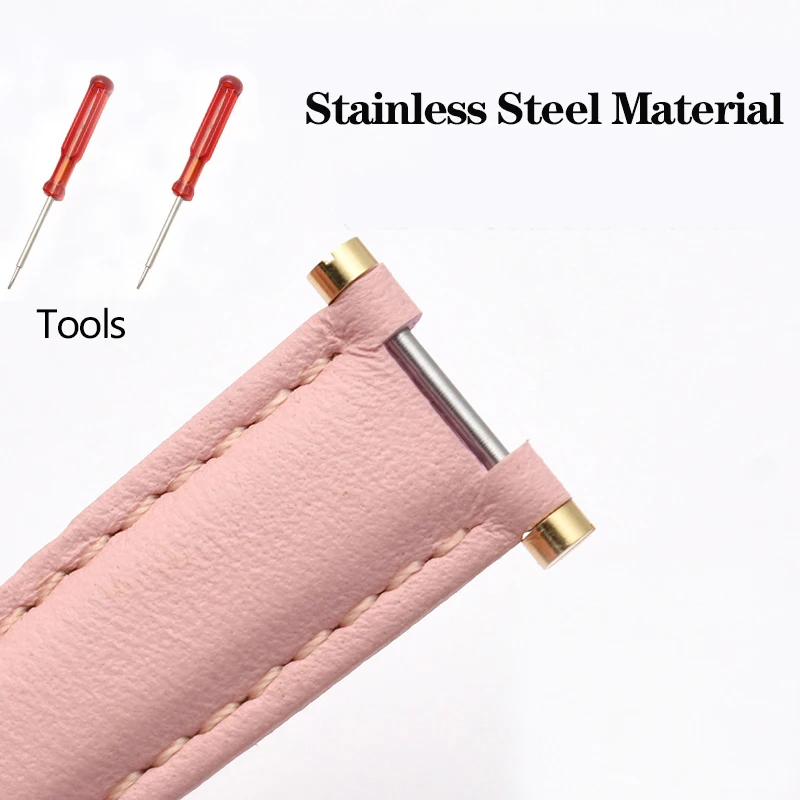 Elegant Rose Gold and Silver Watch Screw Kit for Leather Bands - Includes Lug Stems, Tubes, and Spring Bars (Various Sizes)