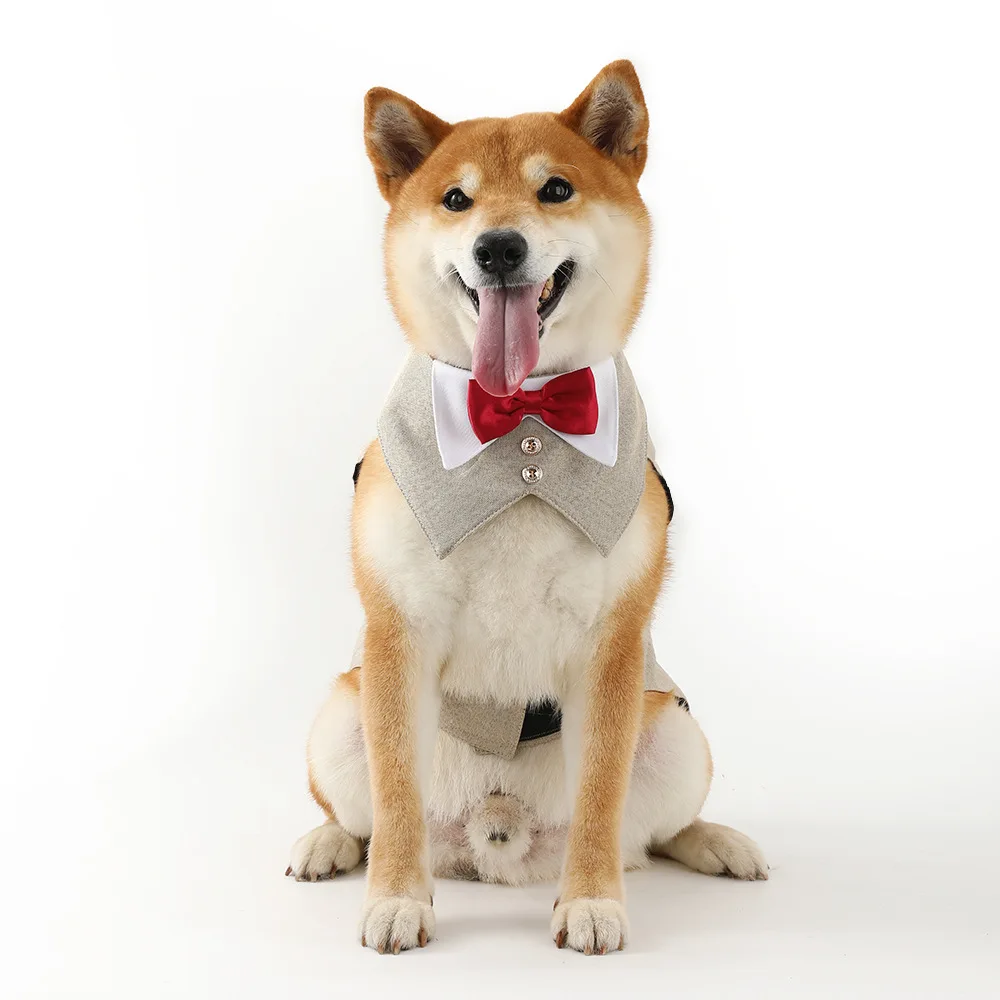 Pets Harness Vest Set - PeticaDeals