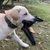 Dog Training Bite Tug Toy Young Dog Chewing Biting Arm Sleeve Schutzhund With Two Handles For Adult Dogs 4