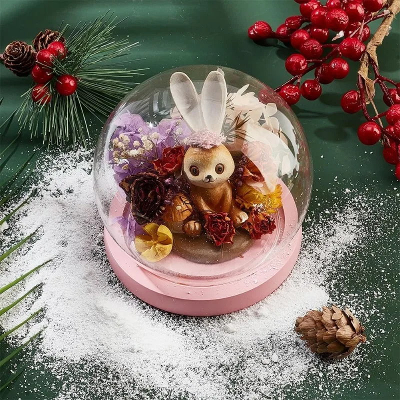 Glass Dome Glass Display Showcase Decorative Display Dome Miniature Case Snowglobe for Fairy Lights Plants Flower 1 Set
