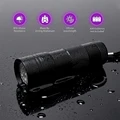 12 UV LED
